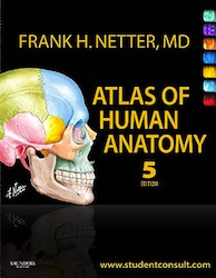 atlashumananatomy.jpg