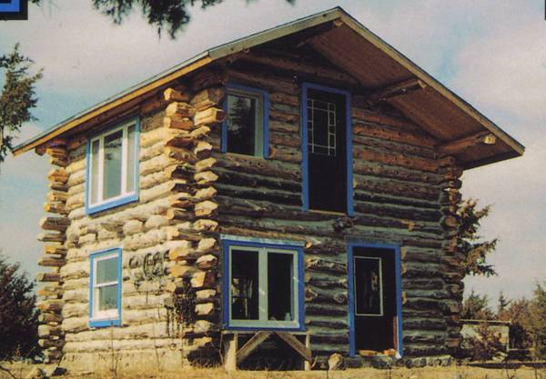 How To Build This Log Cabin For 3 000 Cool Tools
