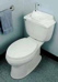 toilet-lid-sink-sm2.jpg
