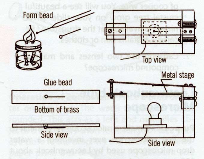 Science4