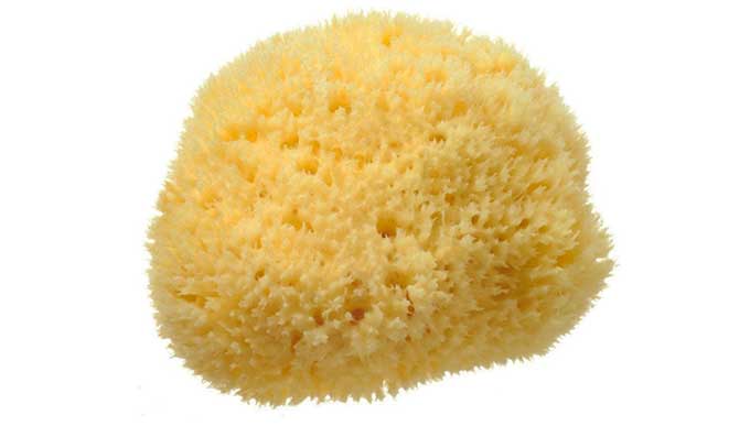 cool sponges