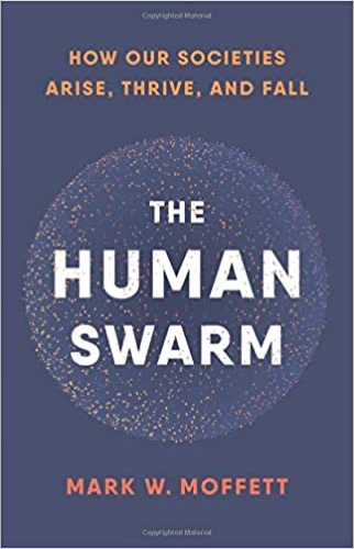 thehumanswarm