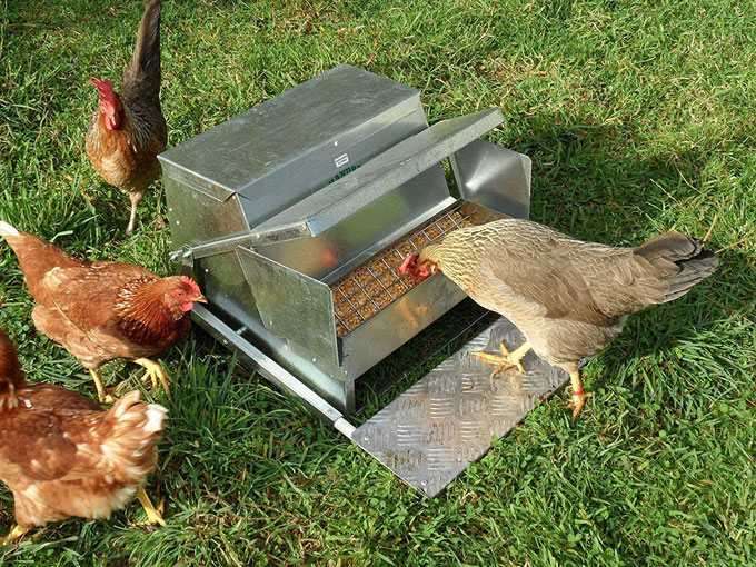 Automatic rat feeder hotsell