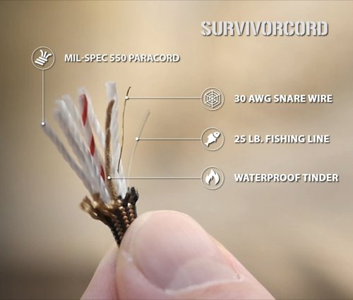 survivorcord