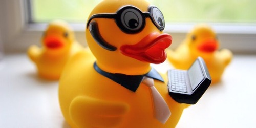 rubber-ducky-2-800x400