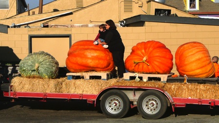 Pumpkin Trailer