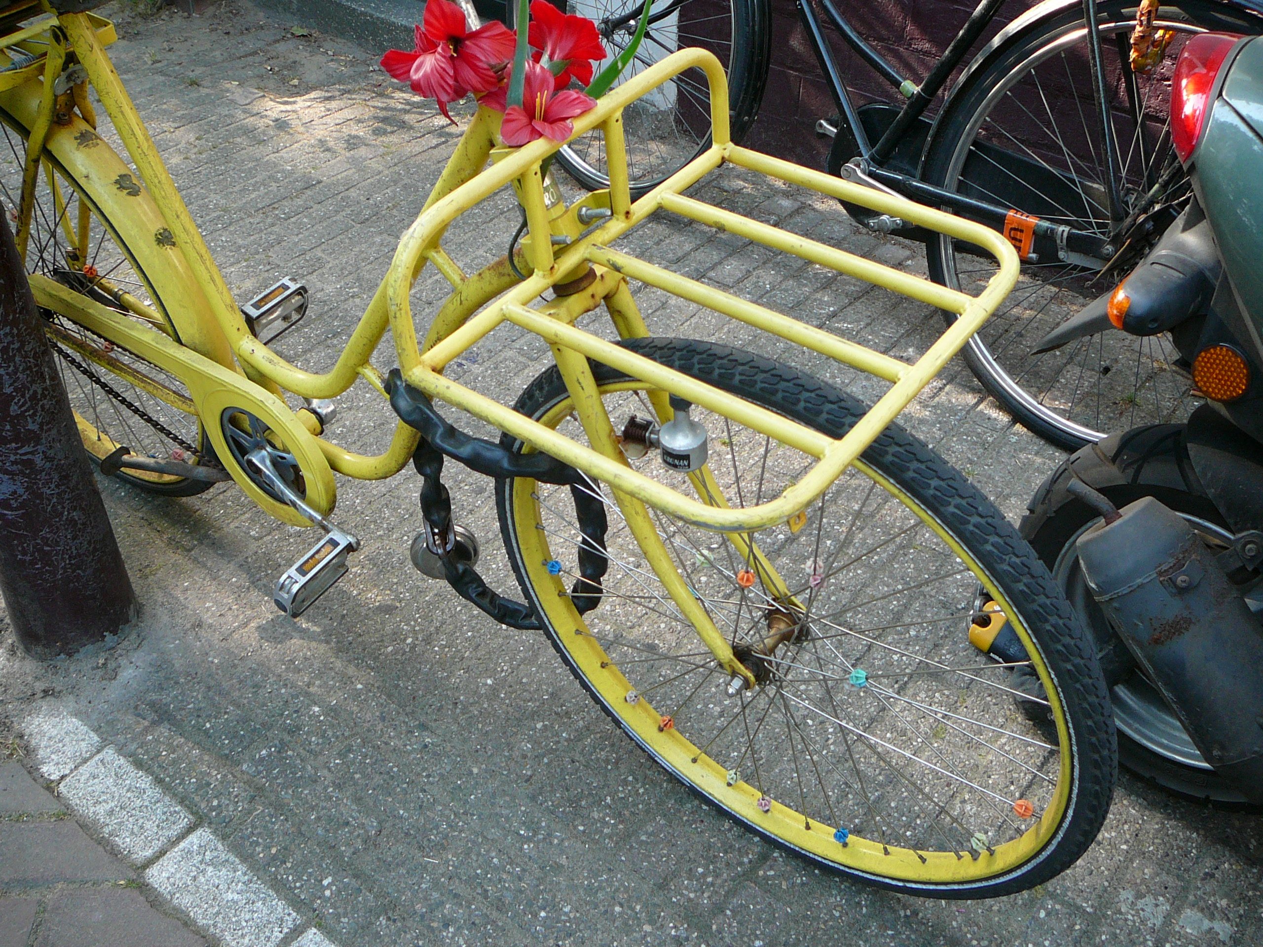 yellow back carriage