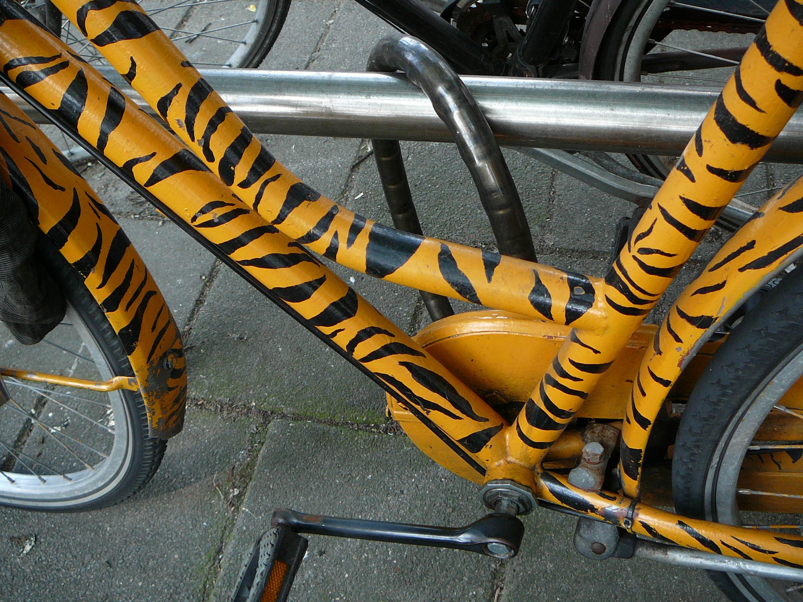 tiger stripe bike