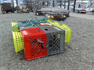 Bodega Crabbing