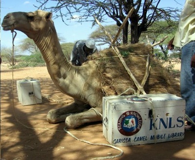 Camellibrary