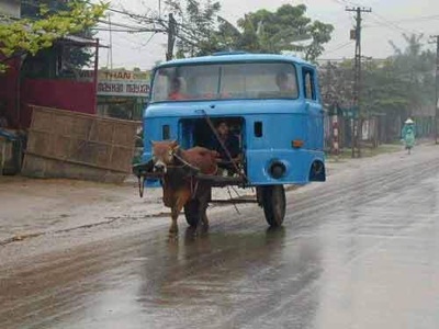 Donkey Truck