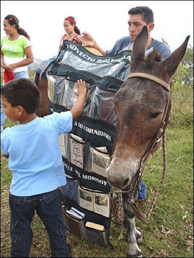 Mule Mobile