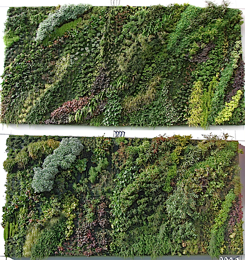 Gardenwall