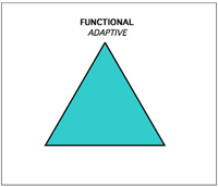 Evotriangle1-1