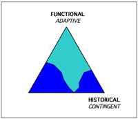 Evotriangle2