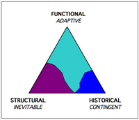 Evotriangle3