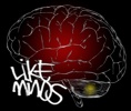Like Minds