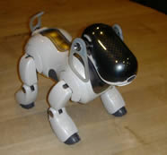 Aibo