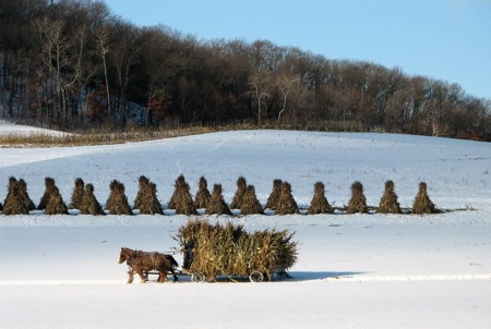 Amish Winter