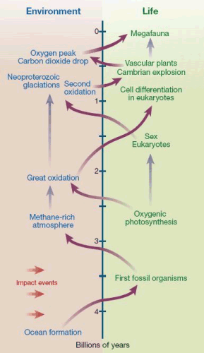 Coevolution