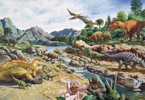 Cretaceous-Collection-Be5061-Ga