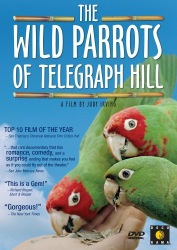 wildparrots_cover