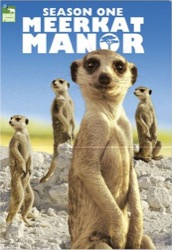 meerkat-manor