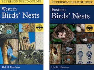 Peterson's Books.jpg